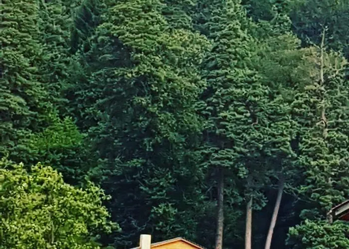 Villa B Barleon-Bakuriani